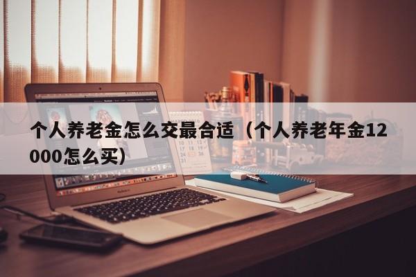 个人养老金怎么交最合适（个人养老年金12000怎么买）