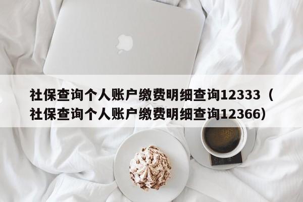 社保查询个人账户缴费明细查询12333（社保查询个人账户缴费明细查询12366）