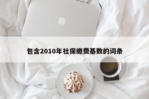 包含2010年社保缴费基数的词条