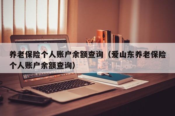 养老保险个人账户余额查询（爱山东养老保险个人账户余额查询）