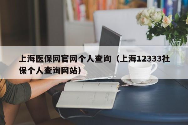 上海医保网官网个人查询（上海12333社保个人查询网站）