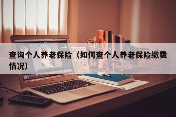 查询个人养老保险（如何查个人养老保险缴费情况）