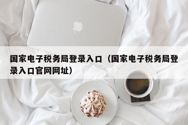 国家电子税务局登录入口（国家电子税务局登录入口官网网址）