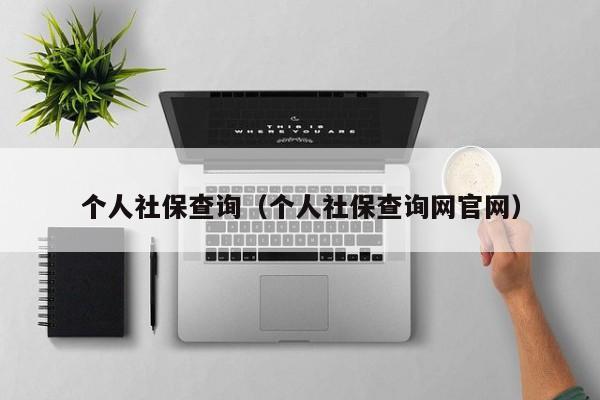 个人社保查询（个人社保查询网官网）
