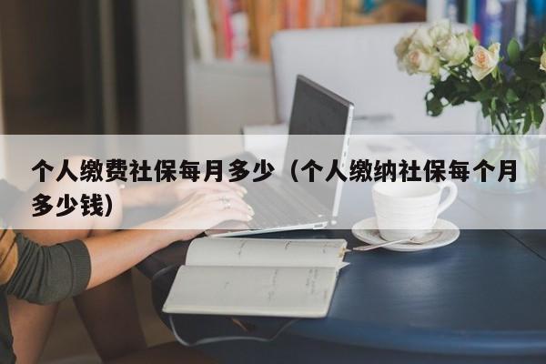 个人缴费社保每月多少（个人缴纳社保每个月多少钱）