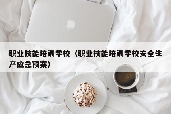 职业技能培训学校（职业技能培训学校安全生产应急预案）