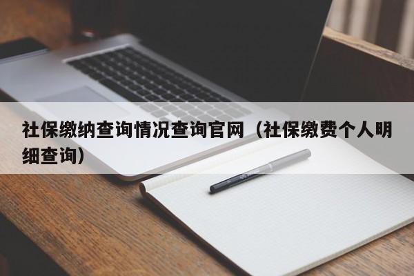 社保缴纳查询情况查询官网（社保缴费个人明细查询）