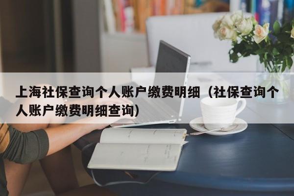 上海社保查询个人账户缴费明细（社保查询个人账户缴费明细查询）