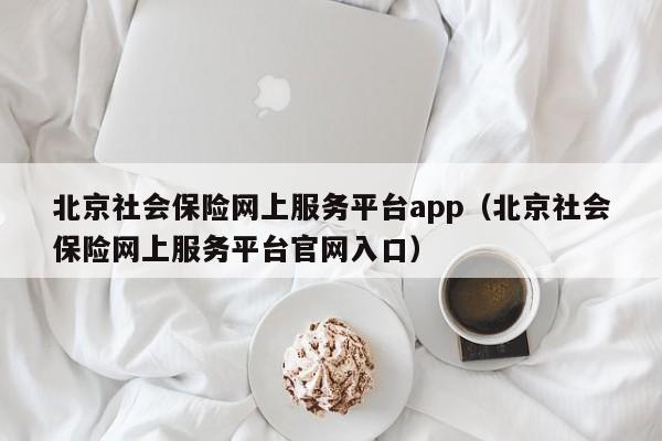 北京社会保险网上服务平台app（北京社会保险网上服务平台官网入口）
