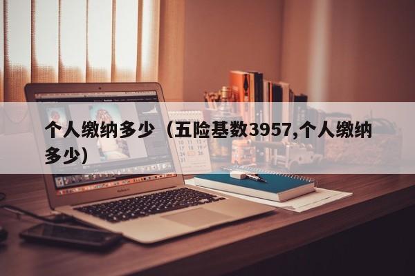 个人缴纳多少（五险基数3957,个人缴纳多少）