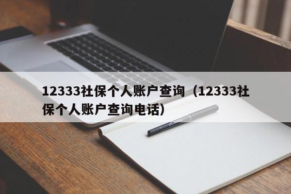 12333社保个人账户查询（12333社保个人账户查询电话）