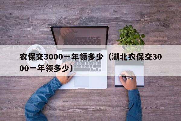 农保交3000一年领多少（湖北农保交3000一年领多少）