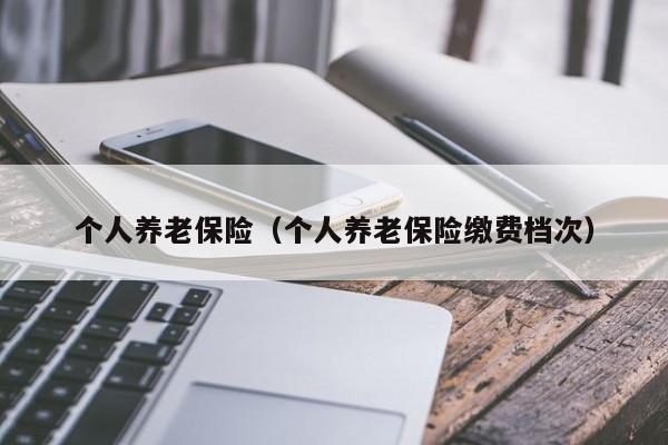 个人养老保险（个人养老保险缴费档次）