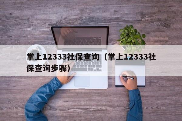 掌上12333社保查询（掌上12333社保查询步骤）