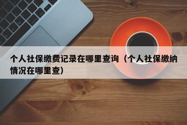 个人社保缴费记录在哪里查询（个人社保缴纳情况在哪里查）