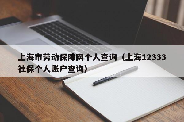 上海市劳动保障网个人查询（上海12333社保个人账户查询）