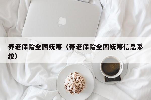 养老保险全国统筹（养老保险全国统筹信息系统）