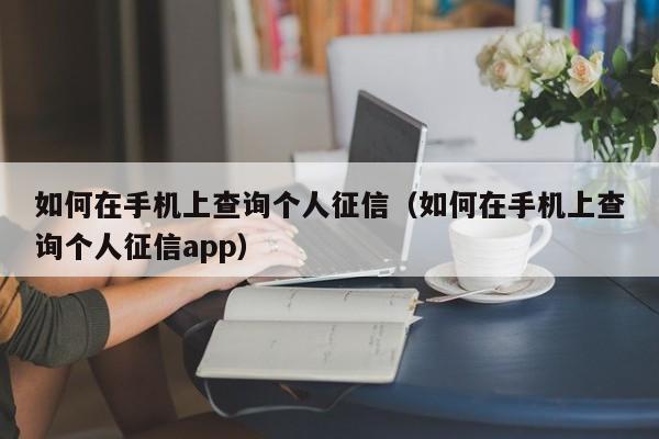 如何在手机上查询个人征信（如何在手机上查询个人征信app）