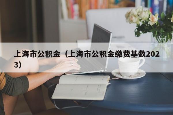 上海市公积金（上海市公积金缴费基数2023）