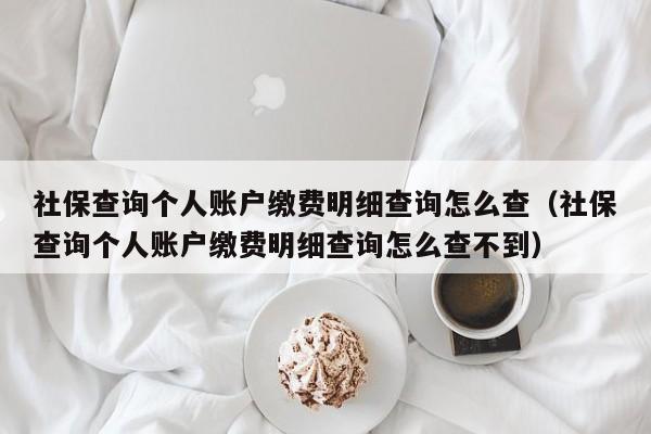 社保查询个人账户缴费明细查询怎么查（社保查询个人账户缴费明细查询怎么查不到）