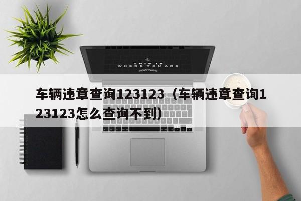 车辆违章查询123123（车辆违章查询123123怎么查询不到）