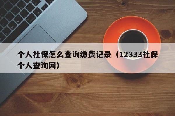 个人社保怎么查询缴费记录（12333社保个人查询网）