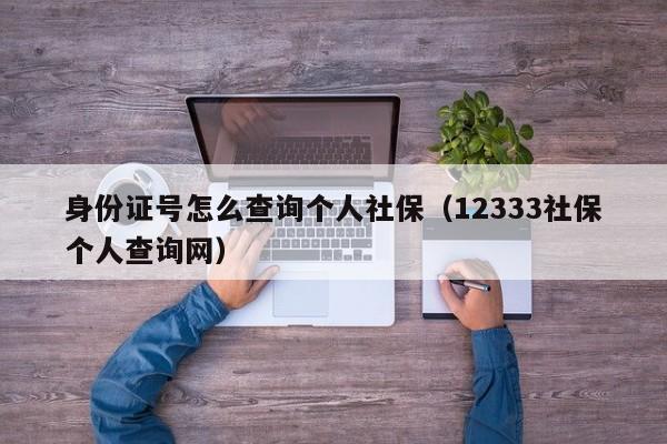 身份证号怎么查询个人社保（12333社保个人查询网）
