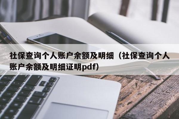 社保查询个人账户余额及明细（社保查询个人账户余额及明细证明pdf）