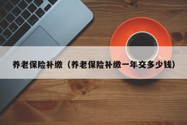养老保险补缴（养老保险补缴一年交多少钱）