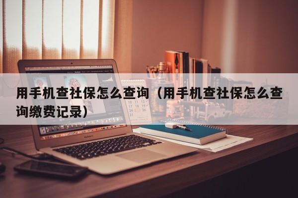 用手机查社保怎么查询（用手机查社保怎么查询缴费记录）