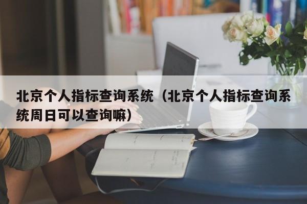 北京个人指标查询系统（北京个人指标查询系统周日可以查询嘛）