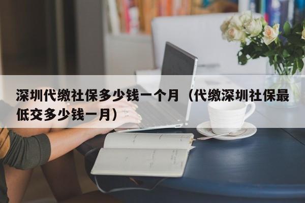 深圳代缴社保多少钱一个月（代缴深圳社保最低交多少钱一月）