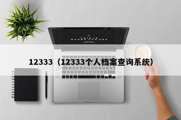 12333（12333个人档案查询系统）