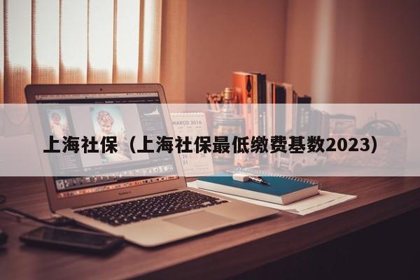 上海社保（上海社保最低缴费基数2023）
