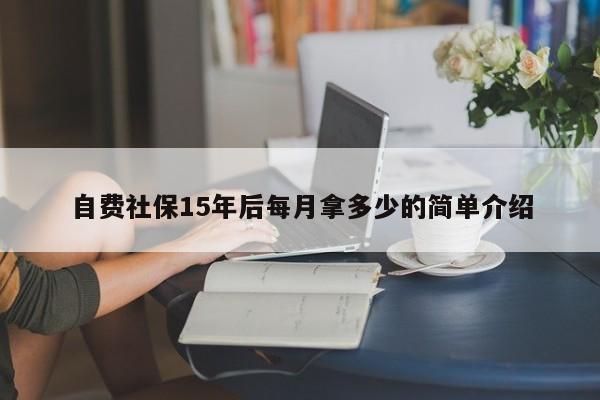 自费社保15年后每月拿多少的简单介绍