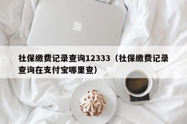社保缴费记录查询12333（社保缴费记录查询在支付宝哪里查）