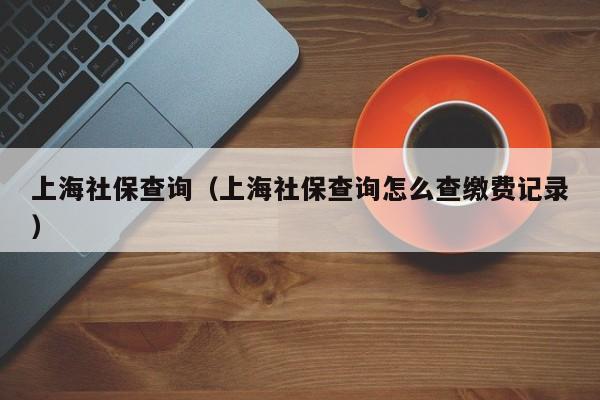 上海社保查询（上海社保查询怎么查缴费记录）