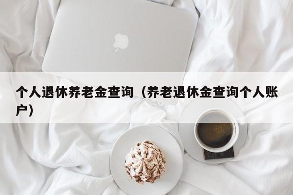 个人退休养老金查询（养老退休金查询个人账户）