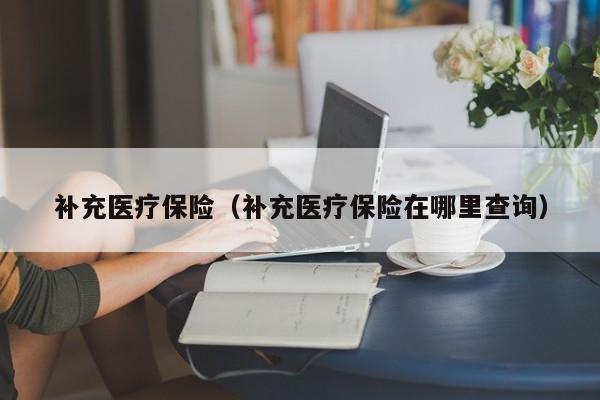 补充医疗保险（补充医疗保险在哪里查询）