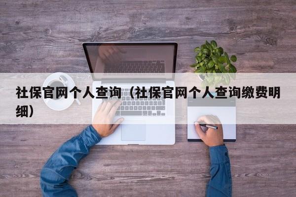 社保官网个人查询（社保官网个人查询缴费明细）