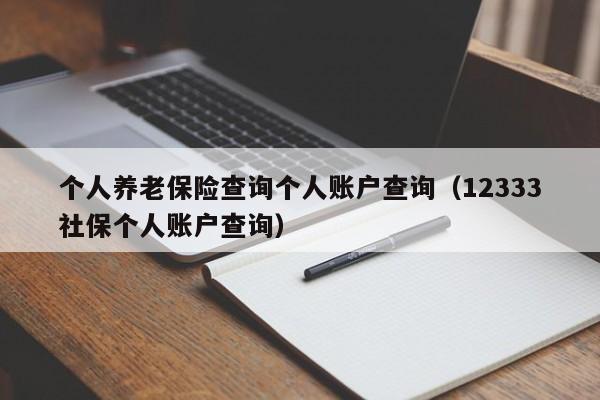 个人养老保险查询个人账户查询（12333社保个人账户查询）