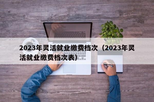 2023年灵活就业缴费档次（2023年灵活就业缴费档次表）