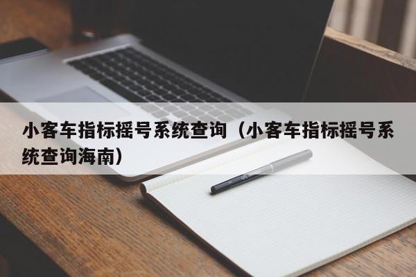 小客车指标摇号系统查询（小客车指标摇号系统查询海南）