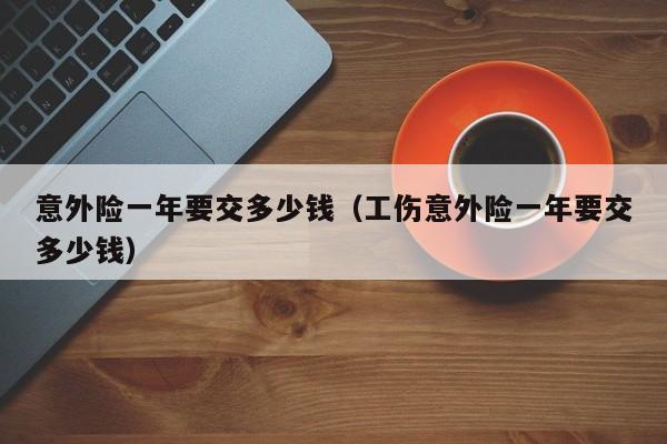 意外险一年要交多少钱（工伤意外险一年要交多少钱）