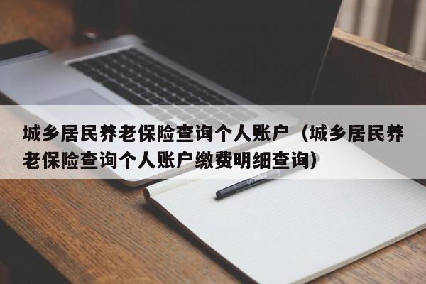城乡居民养老保险查询个人账户（城乡居民养老保险查询个人账户缴费明细查询）