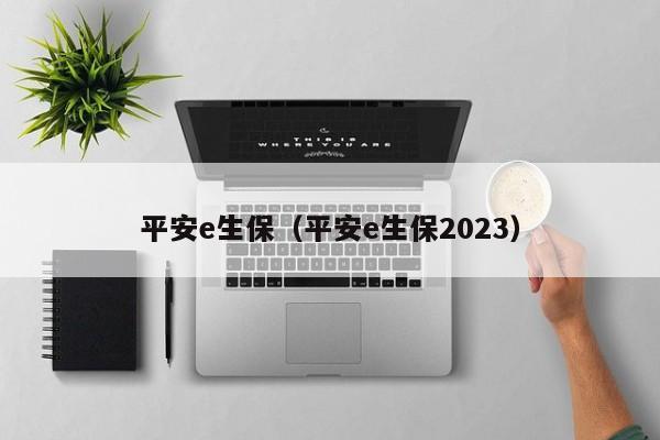 平安e生保（平安e生保2023）