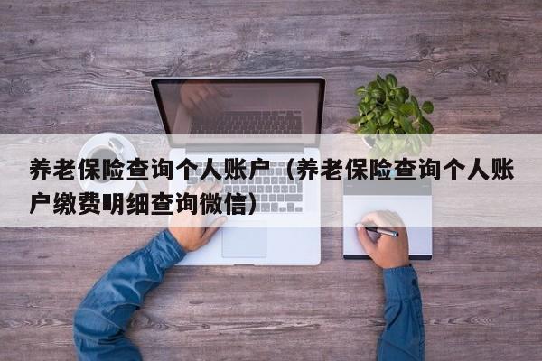养老保险查询个人账户（养老保险查询个人账户缴费明细查询微信）