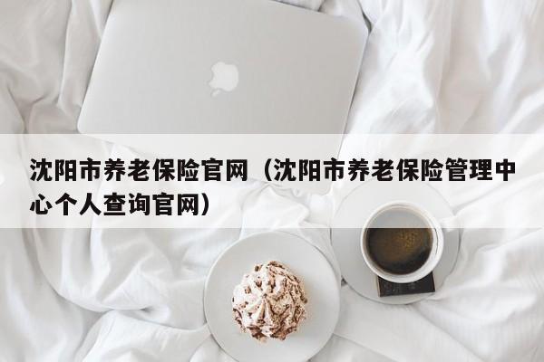 沈阳市养老保险官网（沈阳市养老保险管理中心个人查询官网）