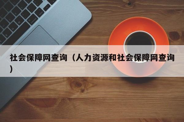 社会保障网查询（人力资源和社会保障网查询）