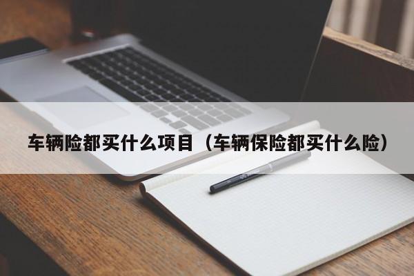 车辆险都买什么项目（车辆保险都买什么险）
